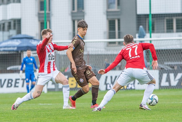 持续成长 持续成长