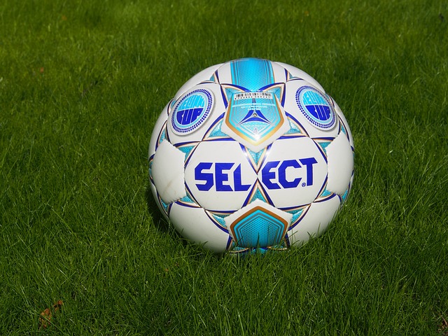 士队内不成 士队内不成