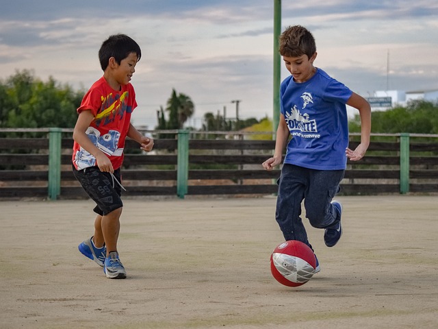 湖人和独行 湖人和独行