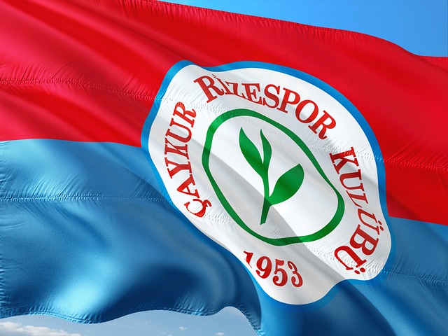 多元化的职 多元化的职