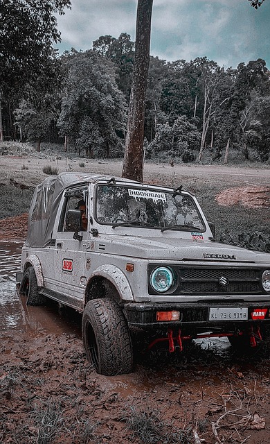 这对他的职 这对他的职